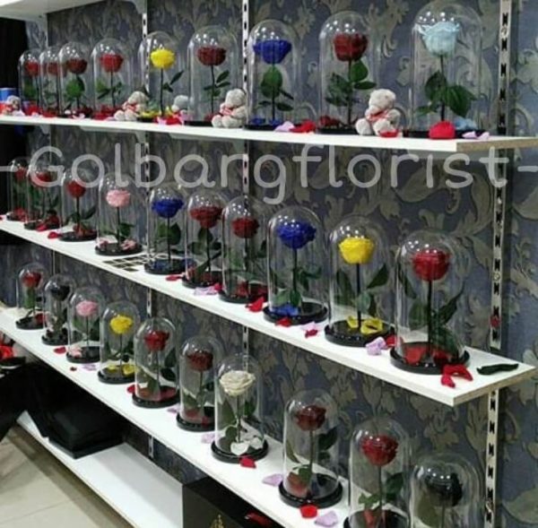 حباب شيشه ای رز جاودان گلبرگ فلوریست