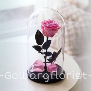 حباب شيشه ای رز جاودان گلبرگ فلوریست