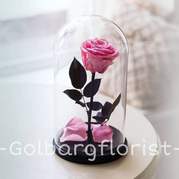 حباب شيشه ای رز جاودان گلبرگ فلوریست