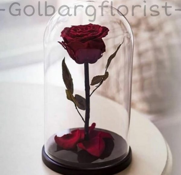 حباب شيشه ای رز جاودان گلبرگ فلوریست