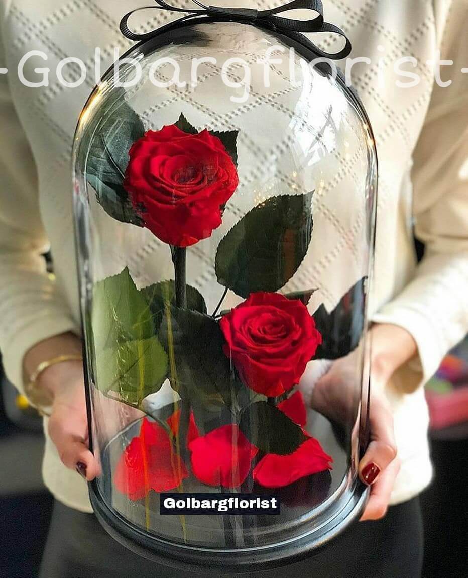 حباب شيشه ای رز جاودان گلبرگ فلوریست