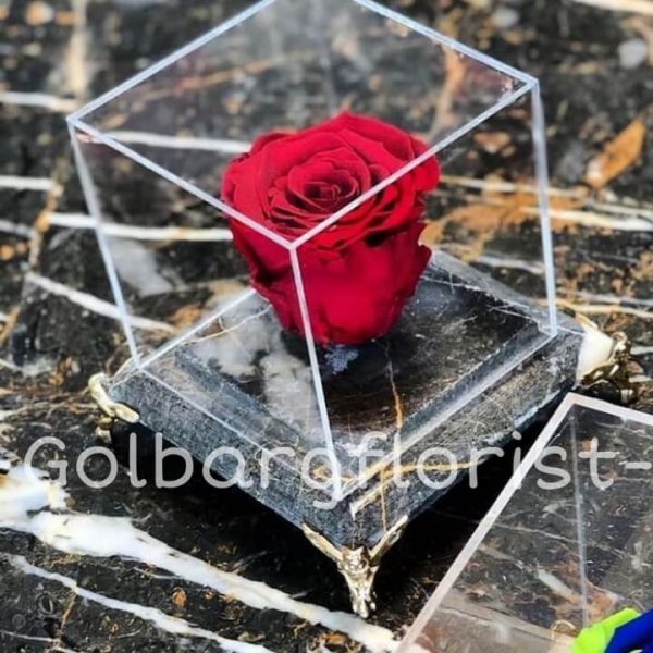 باکس پایه سنگی رز جاودان گلبرگ فلوریست