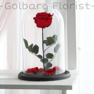 حباب شیشه ای گلبرگ فلوریست