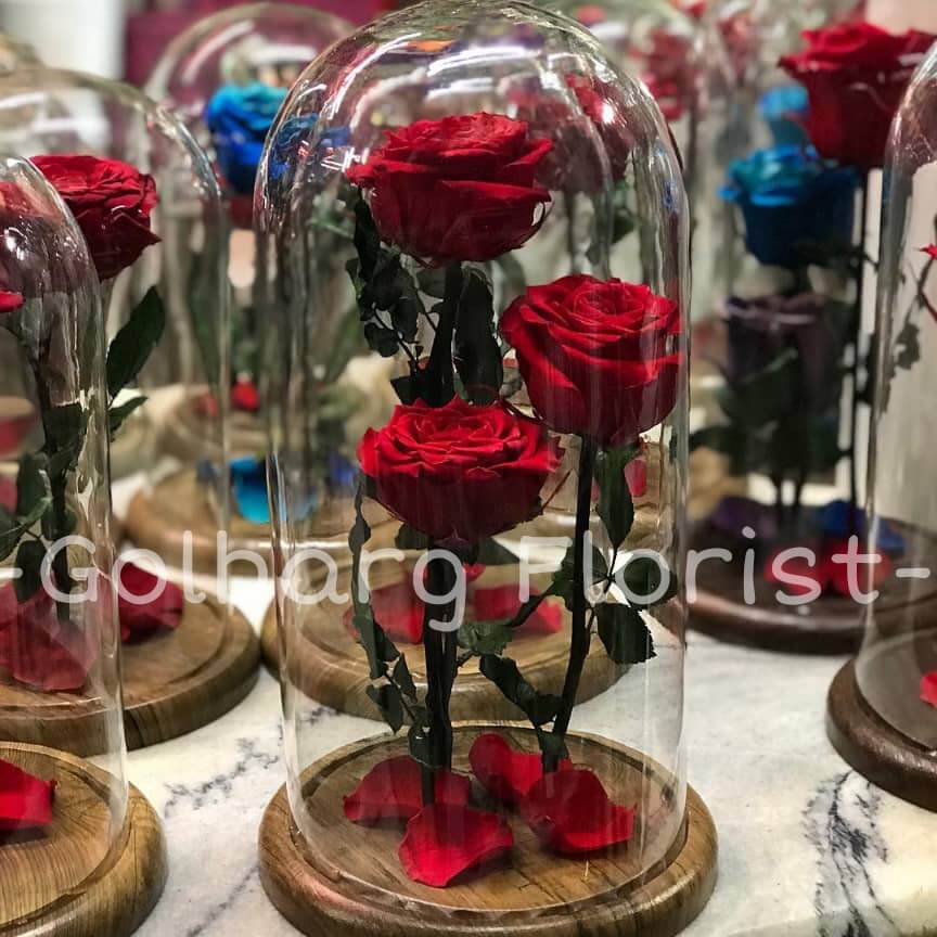 حباب شیشه ای گلبرگ فلوریست