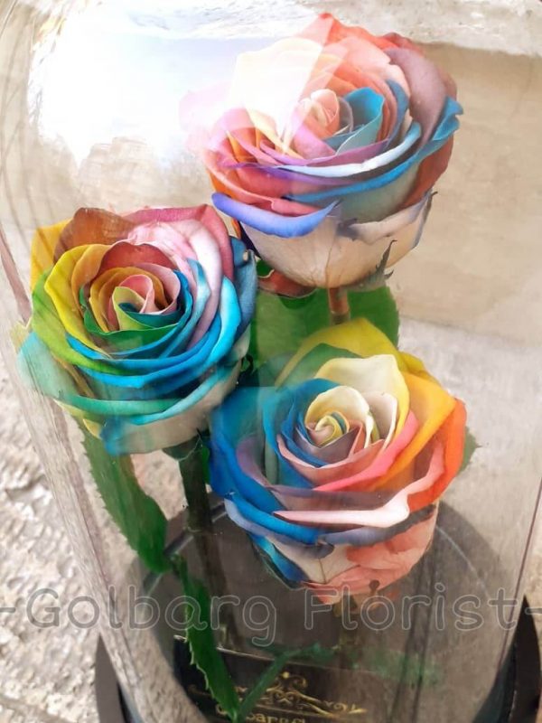 حباب شیشه ای رز هفت رنگ گلبرگ فلوریست