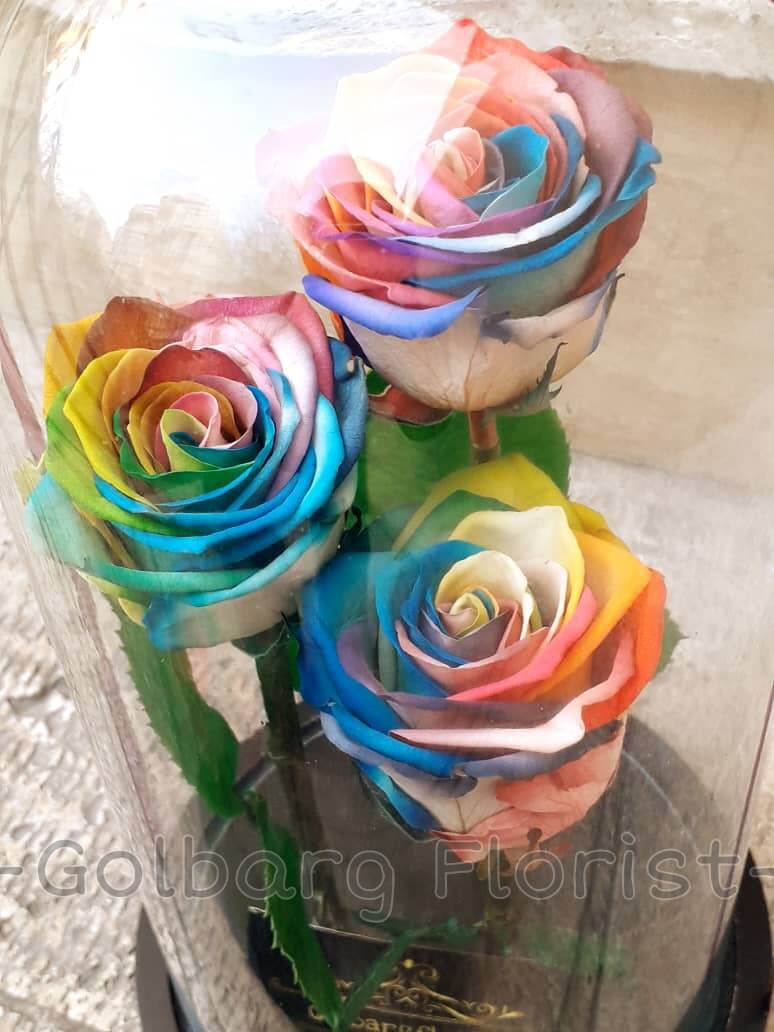 حباب شیشه ای رز هفت رنگ گلبرگ فلوریست