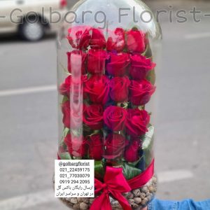 کپسول عشق رز هلندی قرمز گلبرگ فلوریست